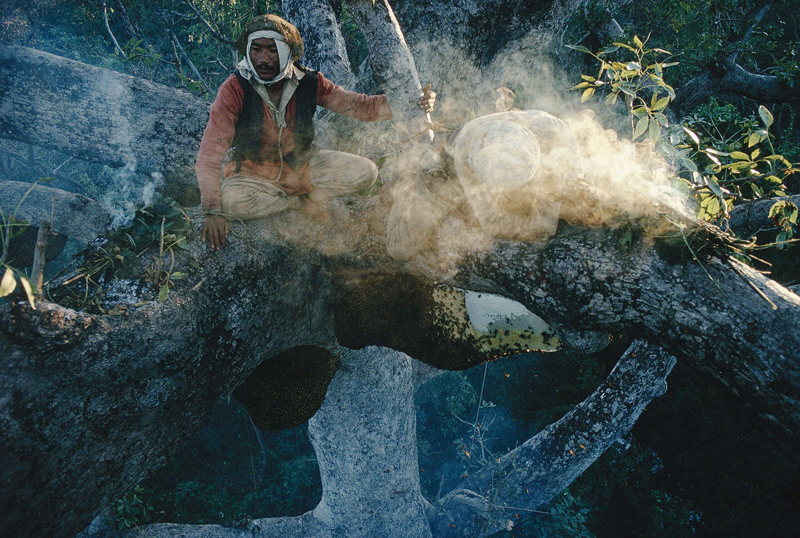 Eric Valli Jungle Nomads Photos